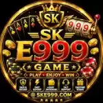 SK E999 Game