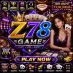 Z78 Game