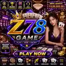 Z78 Game